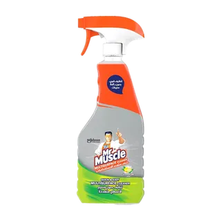 Mr. Muscle All Purpose Surface Cleaner Trigger, 500ml