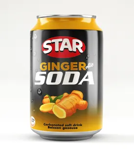 Star Ginger Ale Carbonated Soda 300 ml