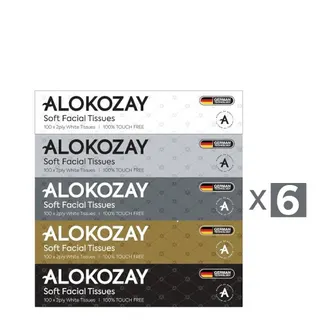 Alokozay Facial Tissue 100Ply 6'S
