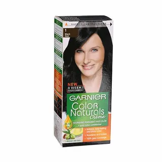 Garnier Color Naturals Hair Color Black, 1
