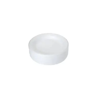 Rich Choice Plain Foam Plates, 12 Inch, 10 Pieces