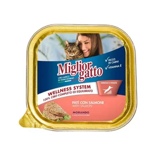 Miglior Gatto Pate Cat Food with Salmon, 100g