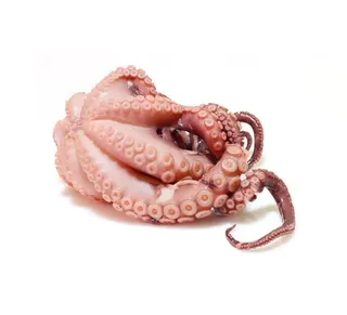 Octopus Defrosted 500g
