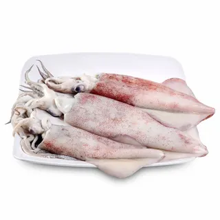 Squid 6/10 500g
