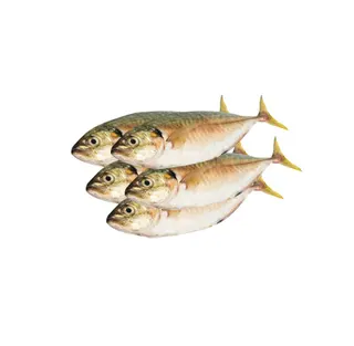Dhardhman Fish 1kg
