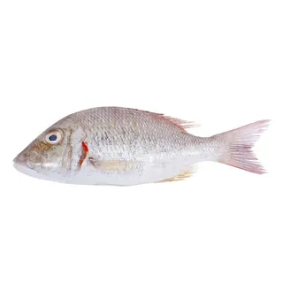 Sharry Small Fish 500g
