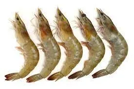 Shrimps Fresh Small, 1kg