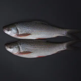 Fresh Rohu Fish 800g