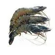 Shrimps Big 1kg