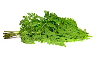 Drumstick Leaves, 1 Pack