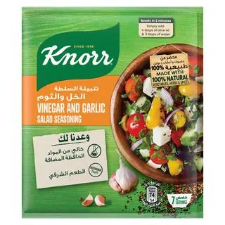 Knorr Vinegar & Garlic Salad Seasoning, 4x10g