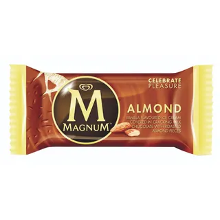 Magnum Ice Cream Bar Almond 110Ml
