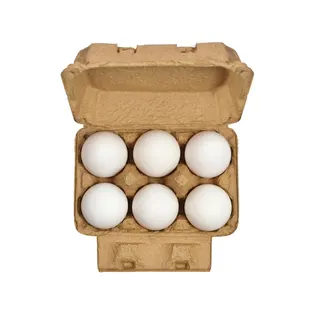 Go Fresh Eggs Large, 6 Pieces