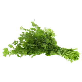 Coriander Leaves