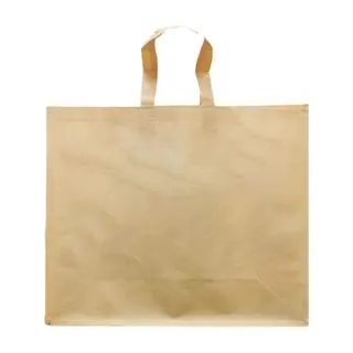 Nonwoven Bag